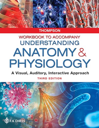 Workbook to Accompany Understanding Anatomy & Physiology: A Visual, Auditory, Interactive Approach, 3e