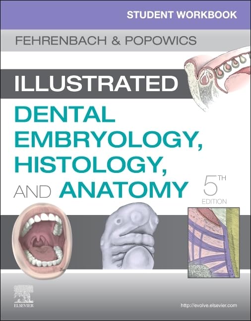Student Workbook for Illustrated Dental Embryology, Histology and Anatomy, 5e