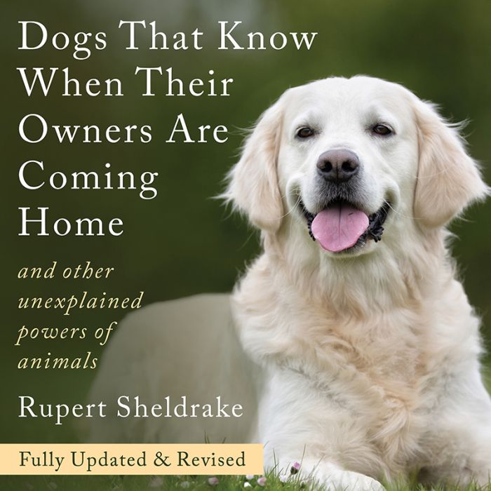 Dogs That Know When Their Owners Are Coming Home: And Other Unexplained Powers of Animals (Fully Updated and Revised)