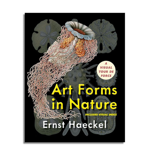 Art Forms in Nature