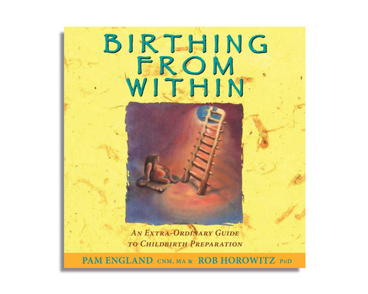 Birthing From Within (Audiobook)