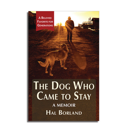 The Dog Who Came to Stay