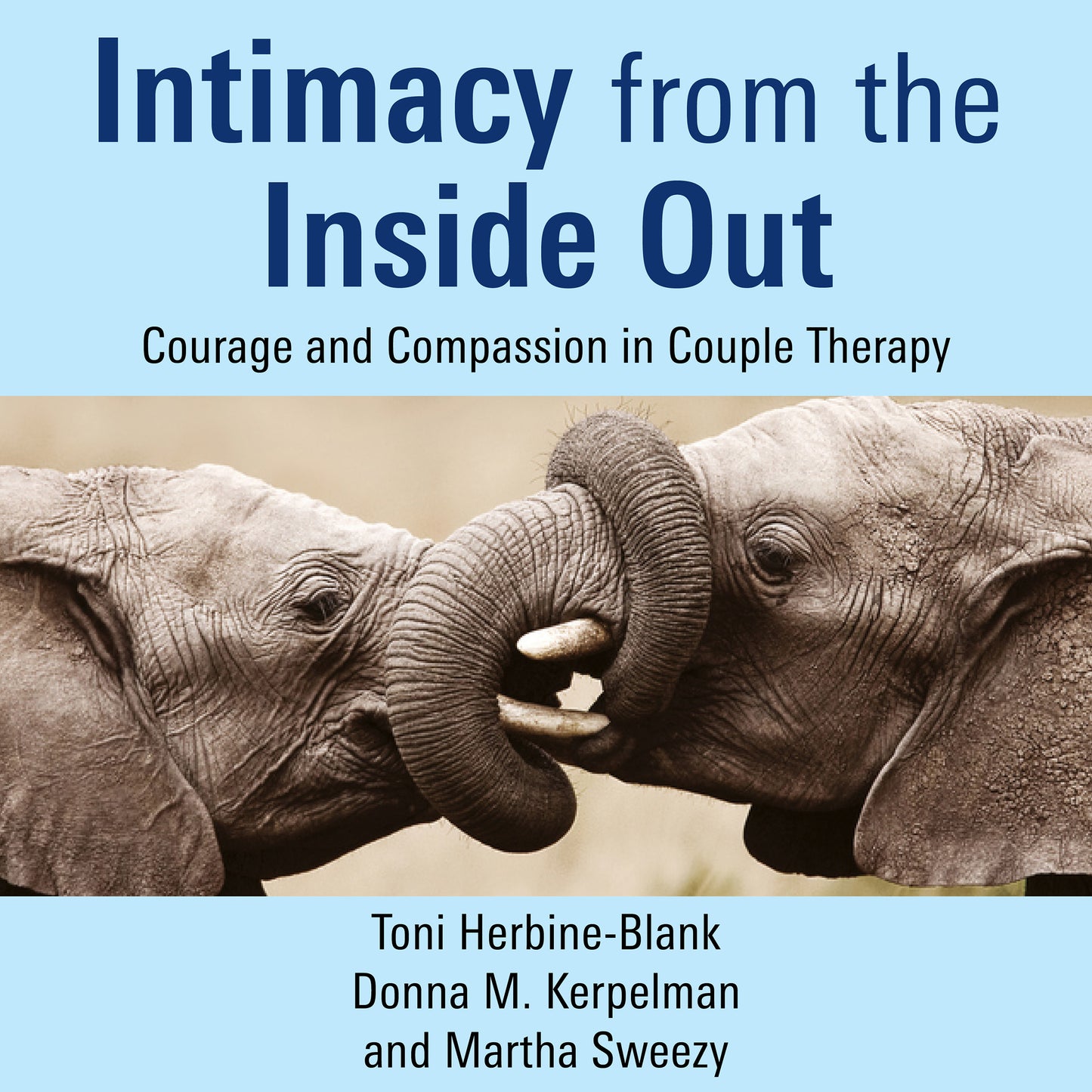 Intimacy from the Inside Out: Courage and Compassion in Couple Therapy