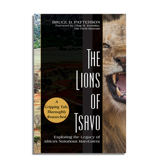 The Lions of Tsavo