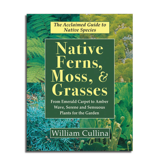 Native Ferns, Moss, and Grasses