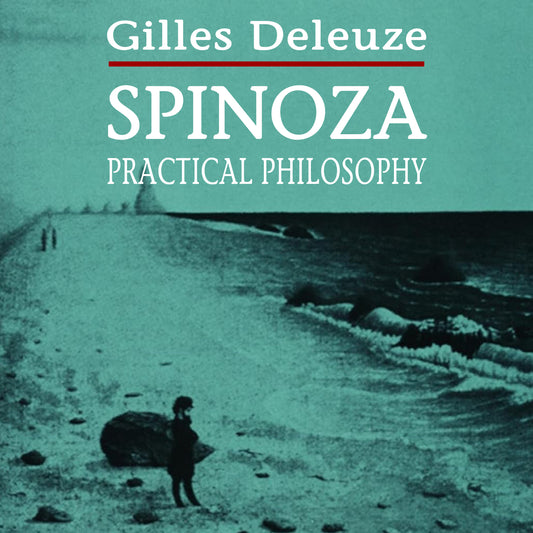 Spinoza: Practical Philosophy