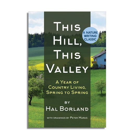 This Hill, This Valley