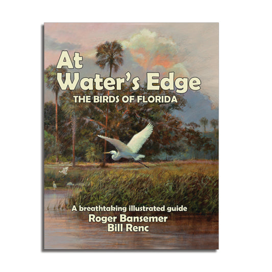 At Water's Edge