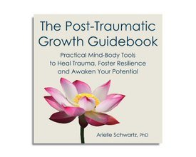 The Post-Traumatic Growth Guidebook (Audiobook)