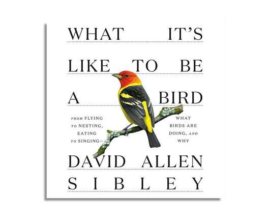 What It's Like to Be a Bird (Audiobook)